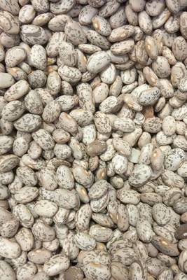 Book cover for Huge Pile of Pinto Beans