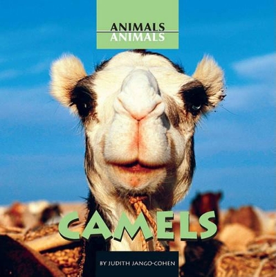 Cover of Camels