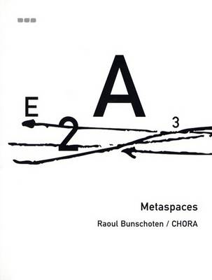 Book cover for Metaspaces