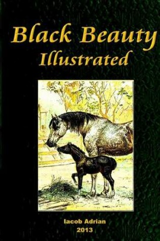 Cover of Black Beauty Illustrated