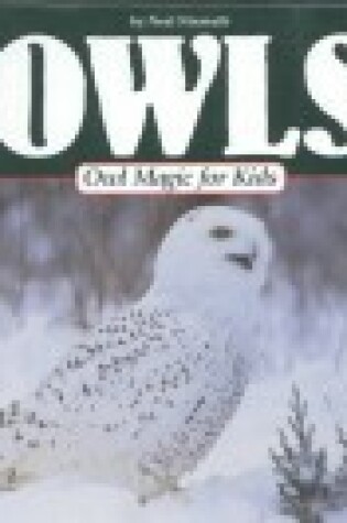 Cover of Owl Magic for Kids