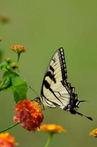 Cover of Swallowtail Butterfly on a Flower Insect Journal