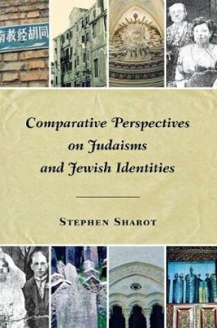 Cover of Comparative perspectives on judaisms and jewish identities