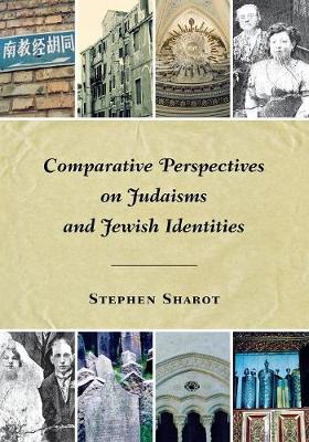 Book cover for Comparative perspectives on judaisms and jewish identities