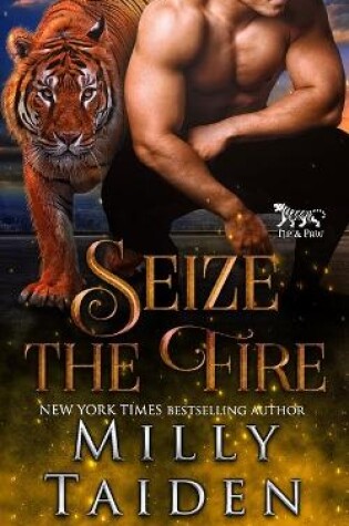 Cover of Seize the Fire