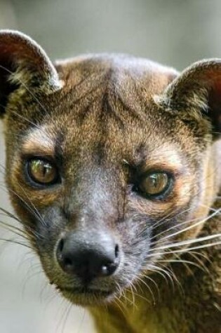 Cover of A Fossa Looking Out in Madagascar Journal