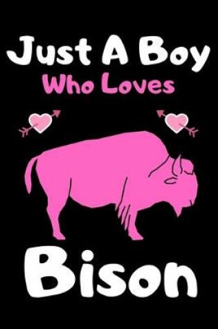 Cover of Just a boy who loves bison