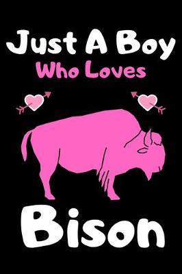 Book cover for Just a boy who loves bison