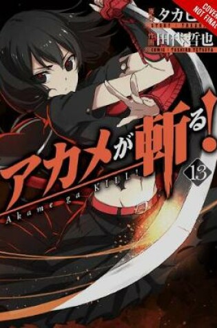 Cover of Akame ga Kill!, Vol. 13