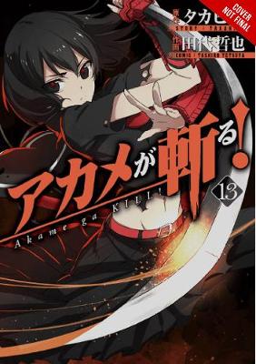 Cover of Akame ga Kill!, Vol. 13