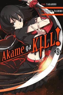 Book cover for Akame ga KILL!, Vol. 13