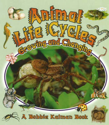Cover of Animal Life Cycles
