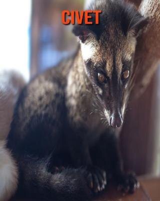 Book cover for Civet