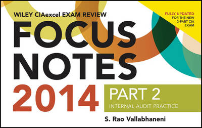 Cover of Wiley CIAexcel Exam Review 2014 Focus Notes