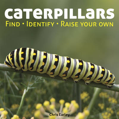 Book cover for Caterpillars