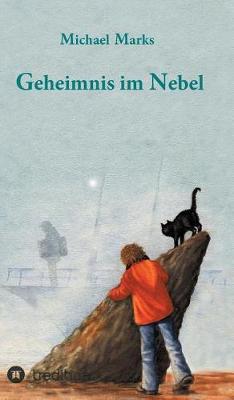 Book cover for Geheimnis im Nebel