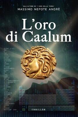 Cover of L'oro di Caalum
