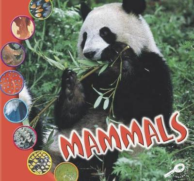 Cover of Mammals