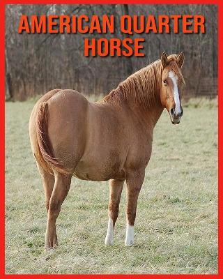 Book cover for American Quarter Horse