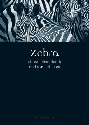 Book cover for Zebra