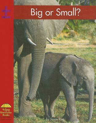 Cover of Big or Small