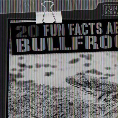 Book cover for 20 Fun Facts about Bullfrogs
