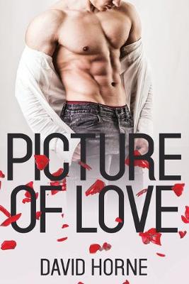 Book cover for Picture of Love