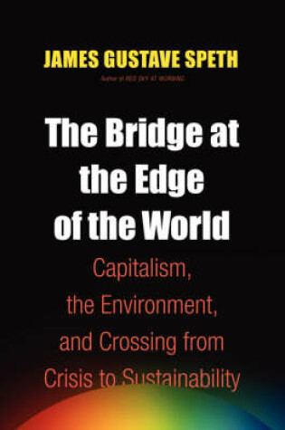 Cover of The Bridge at the End of the World