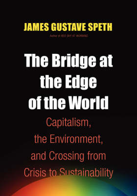 Book cover for The Bridge at the End of the World