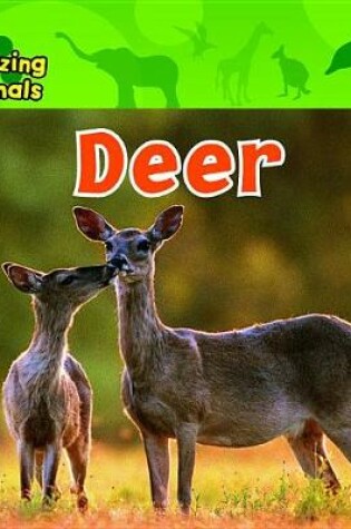 Cover of Deer