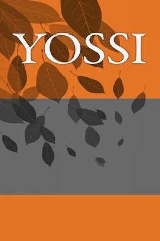 Cover of Yossi