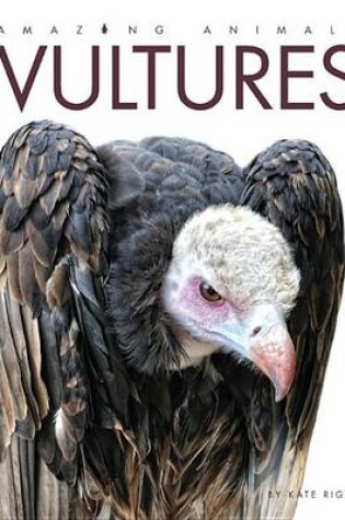 Cover of Amazing Animals Vultures