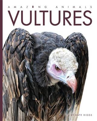 Book cover for Amazing Animals Vultures