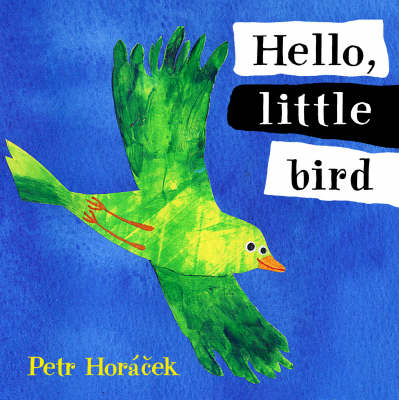 Book cover for Hello Little Bird Board Book