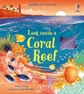 Book cover for Look inside a Coral Reef