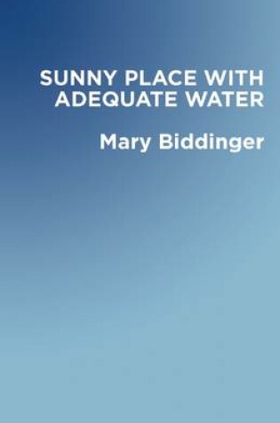 Cover of A Sunny Place with Adequate Water