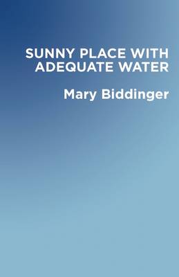 Cover of A Sunny Place with Adequate Water