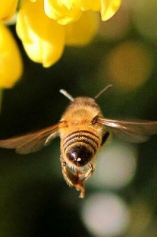 Cover of Following the Honey Bee in Flight Journal