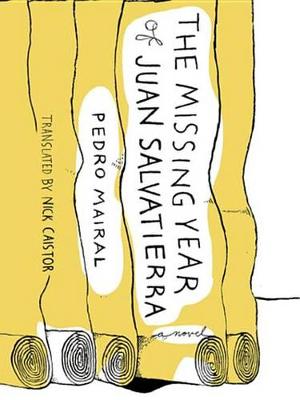 Book cover for Missing Year of Juan Salvatierra