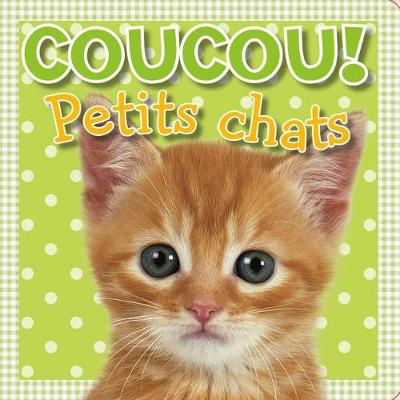 Book cover for Coucou! Petits Chats