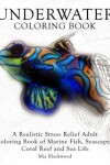 Book cover for Underwater Coloring Book