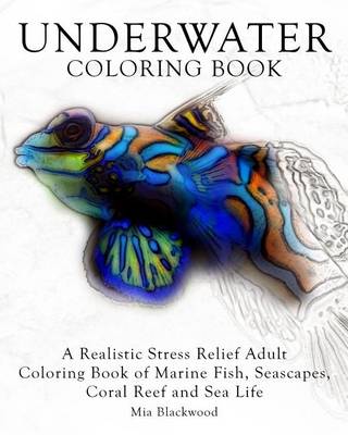 Book cover for Underwater Coloring Book