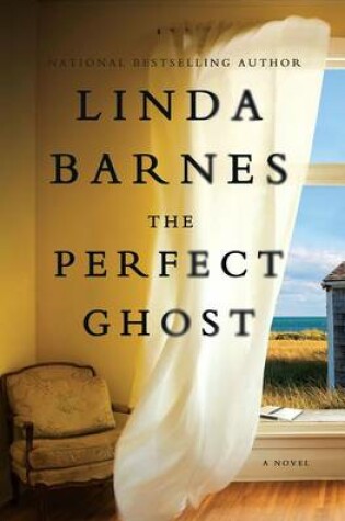 Cover of The Perfect Ghost