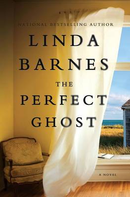 Book cover for The Perfect Ghost