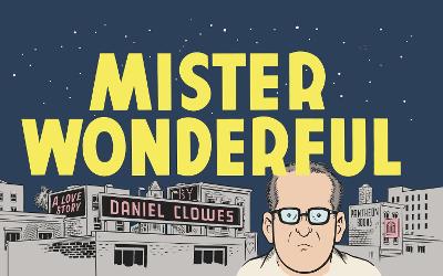 Book cover for Mister Wonderful