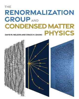 Book cover for The Renormalization Group and Condensed Matter Physics