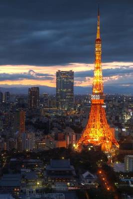 Book cover for Tokyo Tower in Japan Journal