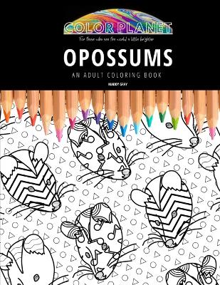 Book cover for Opossums