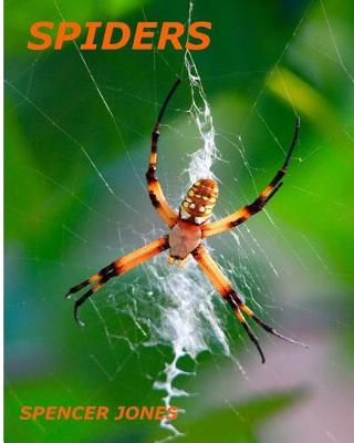 Cover of Spiders