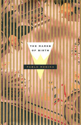 Book cover for The Marks of Birth